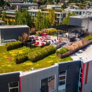 Rooftop at the Session Apartments